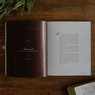 Awakening Wonder | 2025 Daily Grace Advent Devotional