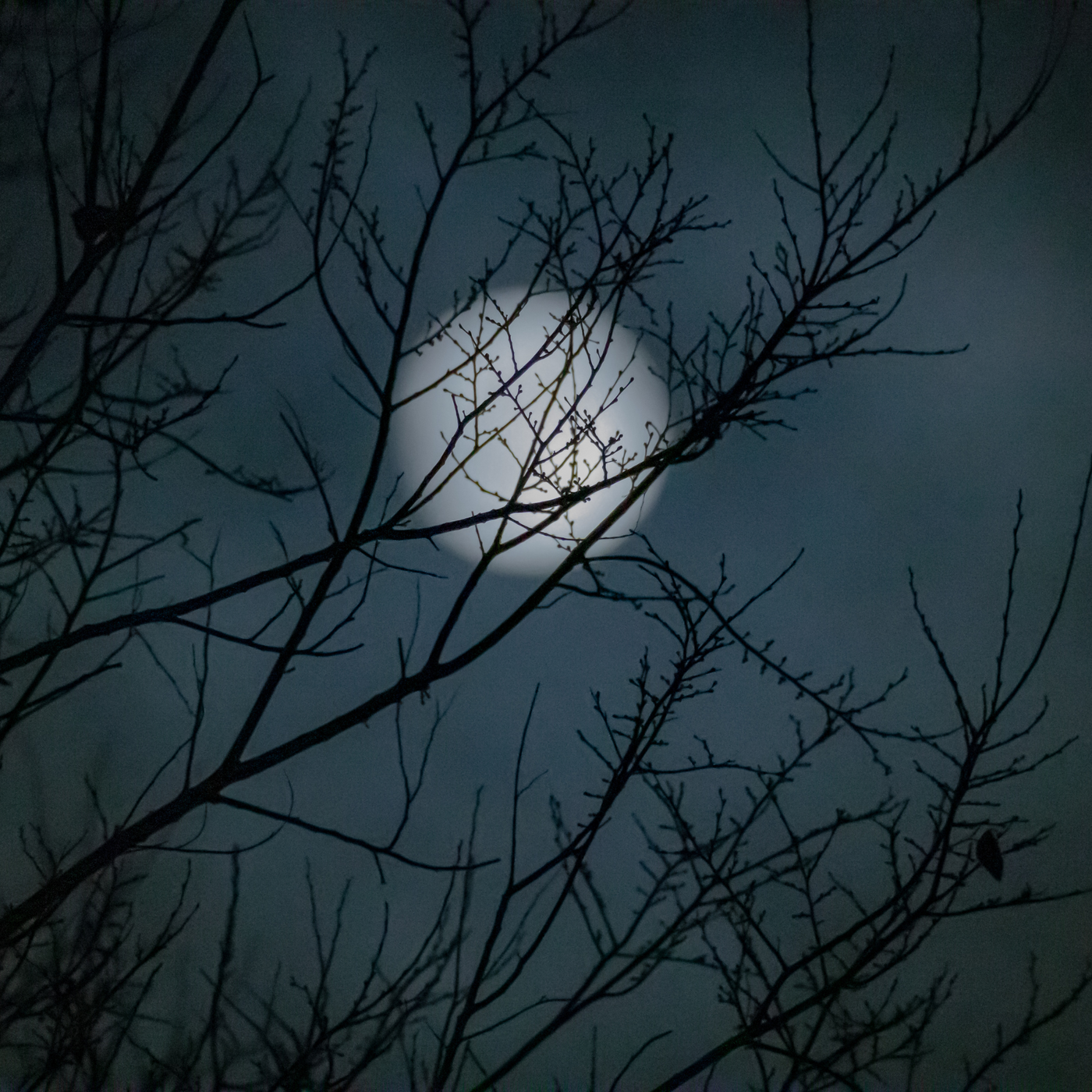 October Moon