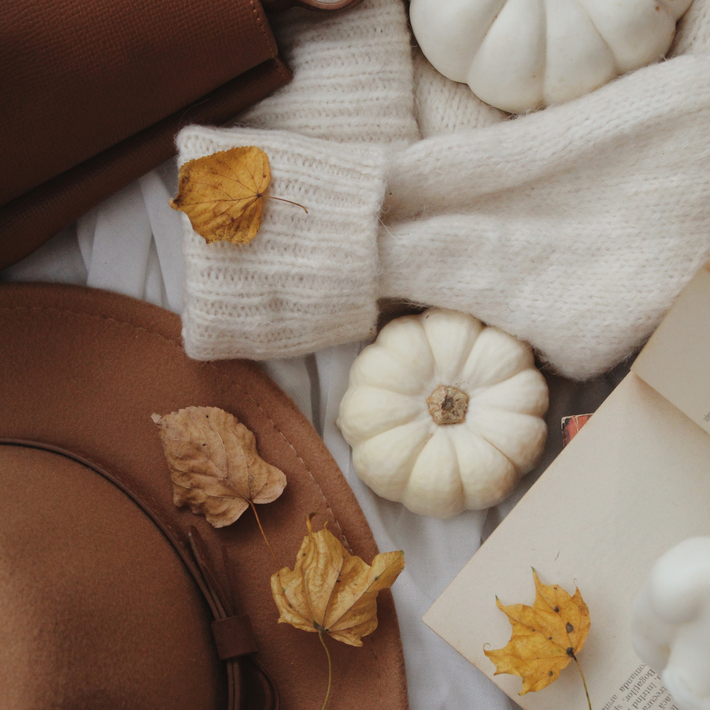 Cashmere Couture