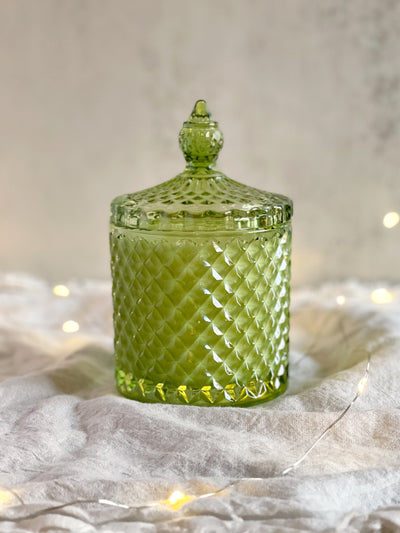 Unlimited Collection