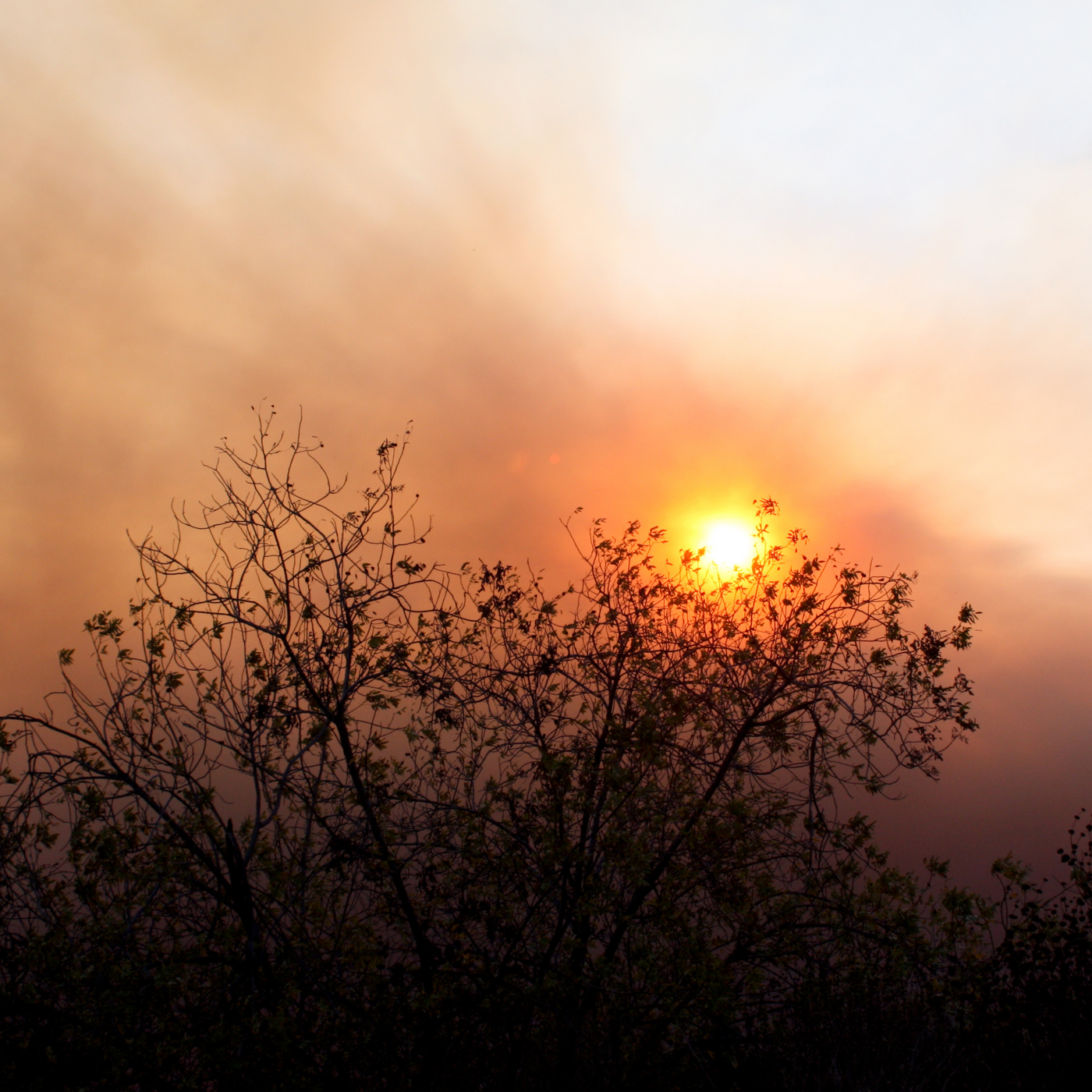 Sunglow & Smoke