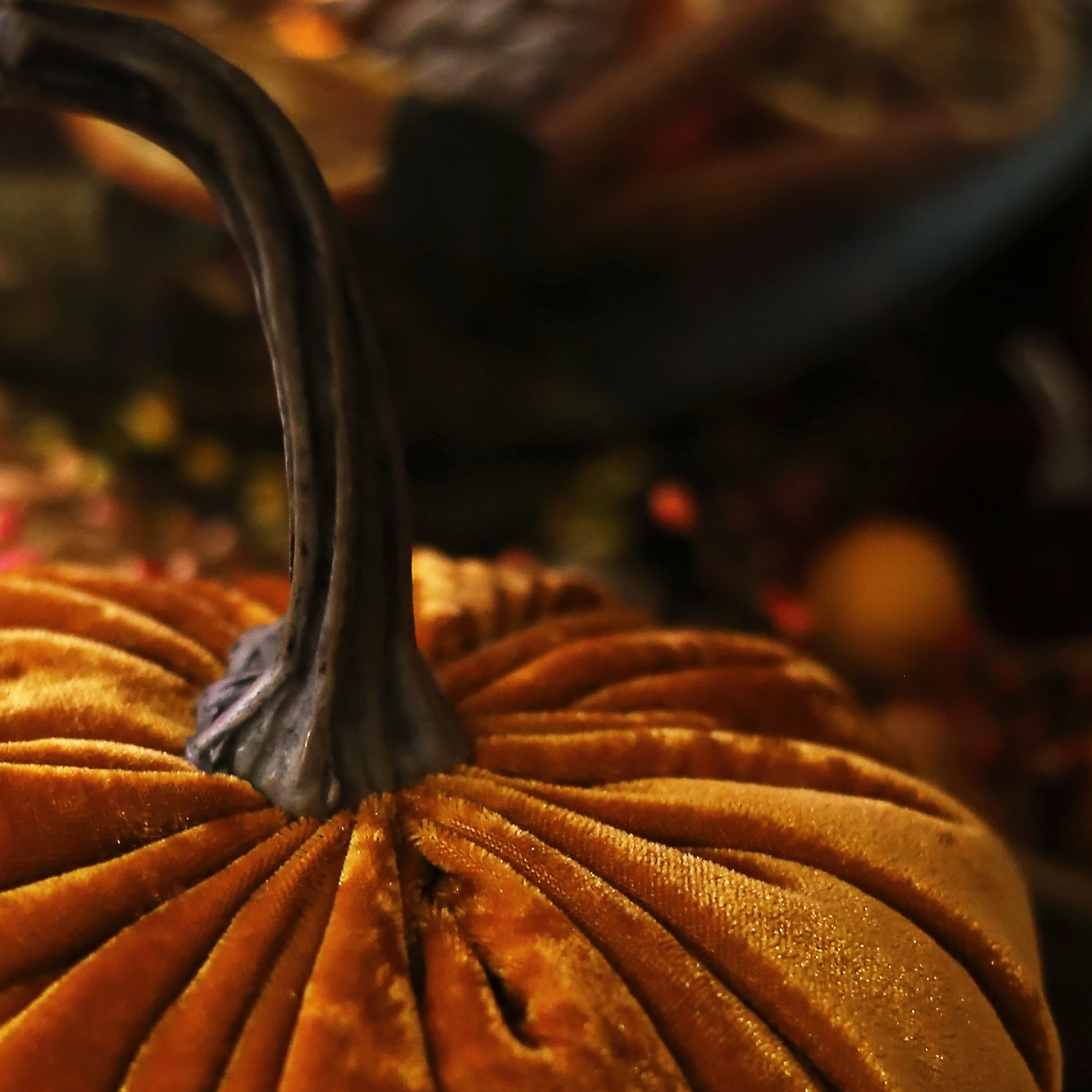 Velvet Pumpkin