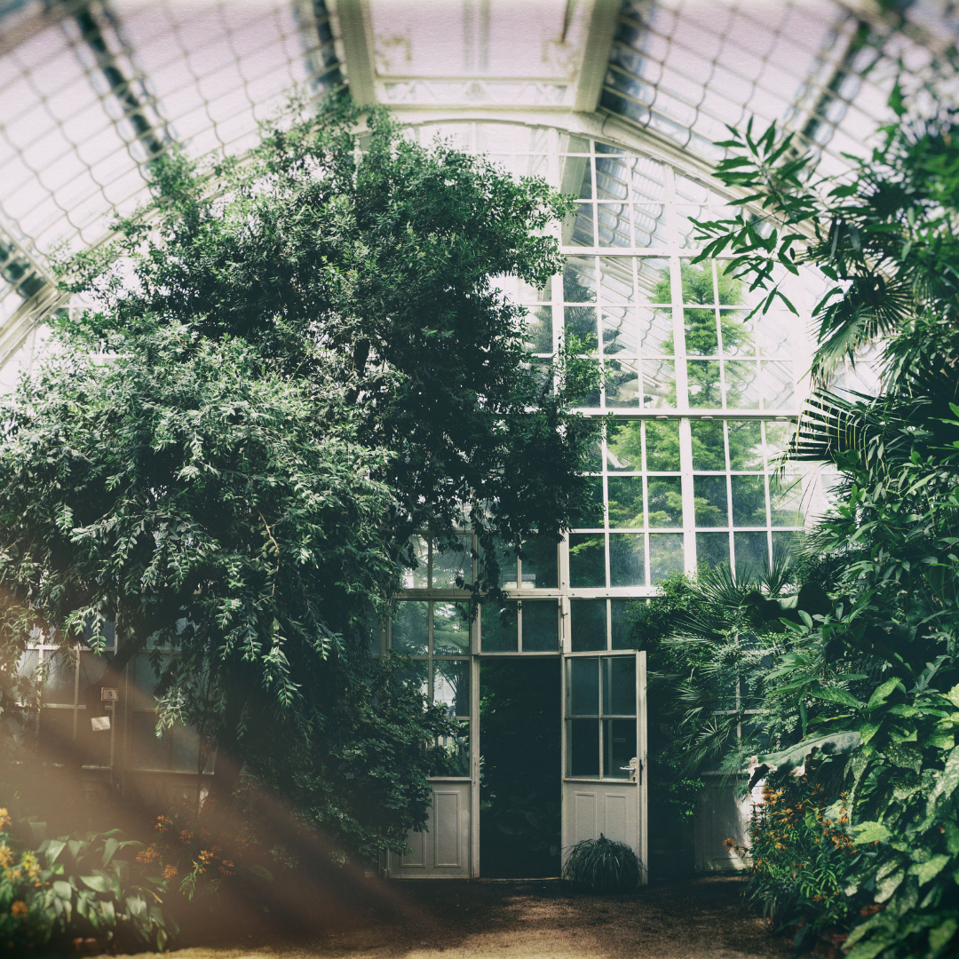 Greenhouse